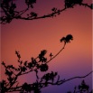 20080229181845